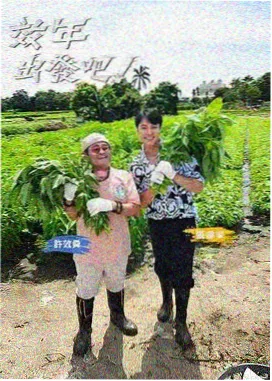 驰策电影院在线观看 真人秀